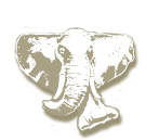 agence communication artatem blanc