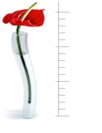 agence creation site internet