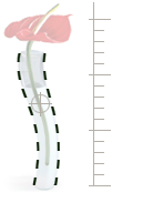 agence creation word powerpoint