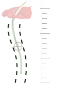 agence strategie communication