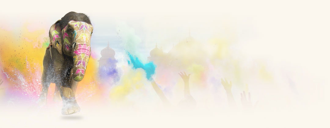 expert-communication-painted